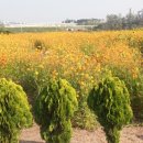 추계농장 이미지