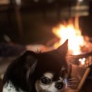 팔레드차밍리조트 이미지