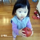 환희농장 이미지