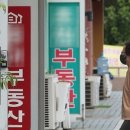 황금알공인중개사 네이버블로그