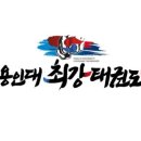 용인대 최강 태권도장 이미지