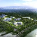 청벽거북 이미지