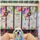 폴링인독 이미지