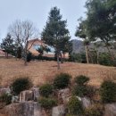 한방자연휴양림(산청) 이미지