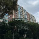 압구정-265 이미지