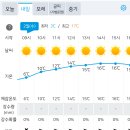 RE:[시리즈도보] 11월 2일(수) 원주굽이길 황효자길과 반계리 은행나무/날씨예보및 공지사항 이미지