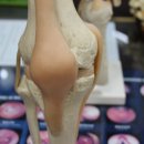 월드경희한의원 이미지