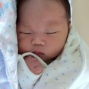 용인대 충무태권도 이미지