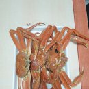 칠보산모텔 이미지