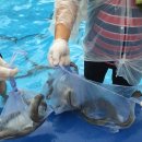 양평 드림캠핑장 이미지