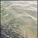 강릉정동진바다풍경오션뷰펜션 이미지