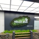 저지1521 | 제주 독채 펜션 추천 대가족10인 저지1521 추천 감성 힐링 펜션 (feat. 김창열미술관)