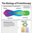 조외과의원 이미지