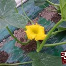 뿌리농장 이미지