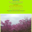 산이좋은사람들MLP