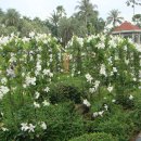 종업농장 이미지