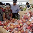 도담동_싱싱장터1호점 이미지