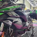 디테일링 몬스터 이미지