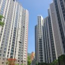 우리집롯데캐슬공인중개사사무소 이미지