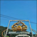 파랑숲어린이집 이미지