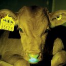 서울우유협동조합생명공학연구소 이미지