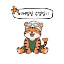 [수영 일기] 1편 수영 준비를 처음 해봐요! / 수영 입문자 수영복, 수경, 수모 정보 / 새로운 취미 찾기