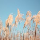 둔촌대로 258번길 이미지