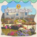 임실치즈두마리목장 | 임실치즈테마파크 아이와 전북 여행 피자 체험 대만족