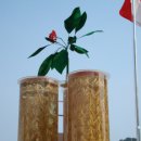 웰컴투코리아센터 이미지