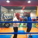 한성 복싱짐 이미지