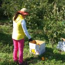 이순희농장 이미지