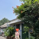 살롬 | 화상중국어 2주 후기, 여행 준비를 위한 회화 공부, 살롬중국어