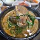 화순고려병원 | 화순 맛집 초방리흑염소가든 보양식으로 좋은 흑염소탕 추천