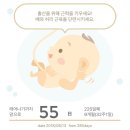 맘스터치강릉 이미지
