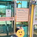 펫팸푸드 이미지