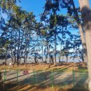 송호해수욕장2화장실 이미지