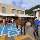 대덕승마장 이미지