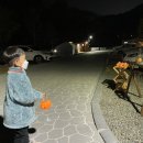 진밭골야영장 이미지