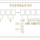 하임데코