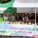 양지농산물