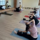 요가교실 이미지