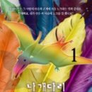 색동다리 이미지