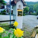 로베펜션 이미지