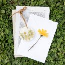 우리 詩 우리 樂 이미지