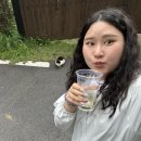 필우재뜰안 이미지