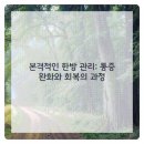 인서울한의원 네이버블로그