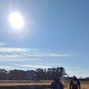 씨유 경주동천선덕점 | ■ [2021 신라 왕릉 가는 길] 2/5(동천,보문들,낭산,도당산)