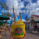 신의한수농장 | 하와이 가족여행 돌플랜테이션 파인애플농장 익스프레스 입장료 주차 기차