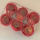 오늘의 마이핏 | 쿠팡 로켓프레시로 주문한 마이핏 사과 후기 (애플테이스팅 키트)