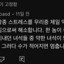 오리새키들 정떨어지네 이미지